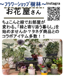 Motto Marche Shu Shu マルシェをまたまた開催 雑貨 お菓子 イベントも 種田家具 雑貨 Zakkashop 山口県 山口市 下松市